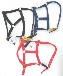 Eclipse Padded Release Headcollar